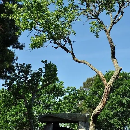 Angelas - Casa Do Coberto Holiday home