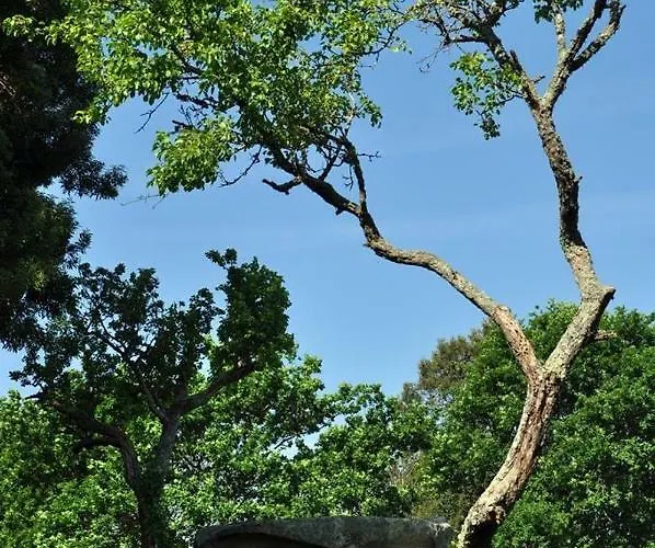 Angelas - Casa Do Coberto Vakantiehuis